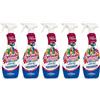 splendeo 5pz detergente igienizzante multiuso SPLENDEO Gemme del Bosco 750ml