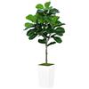 ASTIDY Fico artificiale a foglia di violino da 1,5 m, albero di fico finto con fioriera alta bianca, pianta finta di Ficus Lyrata da pavimento in vaso, albero di fico artificiale per casa, ufficio,