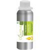 Cloud Bud Puro Brinjal Olio Solanum Melongena Naturale Cold Pressato per Capelli