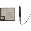 No Modulo Serie LoRa HT-RA62 con Antenna 868-915 MHz SX1262 Modulo di Comunica9072