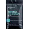 WeightWorld Creatina Monoidrata in Polvere da 1kg 3000mg 330 Dosi Fattore di Maglia 200