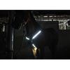 LED Flash cavallo pettorale collare a forma di Y sicurezza notturna equitazione