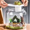 Torta Habitat Habitat Desktop Creative Clear Trendy Step Terrarium Micro