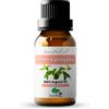 Zenful Olio di eucalipto al limone - Olio essenziale, puro e biologico, 10 ml