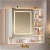Hzuaneri Specchio Bagno Contenitore, Specchiera Bagno con illuminazione a LED &