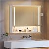 Hzuaneri Specchio Bagno Contenitore, 3 Ante, Illuminazione a LED Superiore e Inf