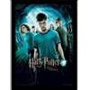 Pyramid International Harry Potter (Order Of The Phoenix) Framed Print Memorabil
