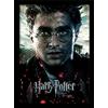 Pyramid International Potter (Deathly Hallows Part 2-Harry) Framed Print Memorab
