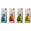 AD TREND 1 Pezzo Diffusore Profumo con Bastoncini 150 ml 4 Fragranze
