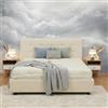 Does not apply Materasso Lattice 100% Matrimoniale modello NUVOLA misura 160x200 con sette zone