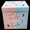 TrAdE Shop Traesio BOX SURPRISE SCATOLA MAGICA BIMBO BIMBA 65X50X50CM DECORATA BABY SHOWER SOPRESA