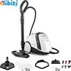 Vaporetto Smart 120, Pulitore a Vapore Con Caldaia, Pressione 4 Bar, Potenza Max