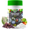 Albagarden Bicarbonato Di Potassio Bio Per Agricoltura Naturale E Piante Disacidan Contro