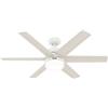 Hunter Ventilatore Soffitto Efficienti con Telecomando Arete Bianco Dc Luce