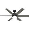 Hunter Risparmio Energetico Ventilatore da Soffitto con Telecomando Arete Nero Dc Luce