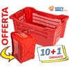Amocom 10 → CASSETTE AGRICOLE TRAFORATE Fondo CHIUSO 40 Lt - Per RACCOLTA OLIVE FRUTTA