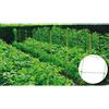 Riegolux 999156 - Rete strutturale, 20 x 20 cm, Verde, 2 x 25 m 8LQN