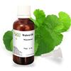 Allin Exporters Olio Di Brahmi, 30ml