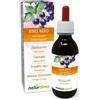 Does not apply Ribes Nero (Ribes Nigrum) Gemmoderivato Analcoolico Da Gemme Fresche - Estratto