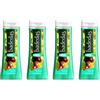 Badedas 4pz BADEDAS Gel Doccia RIVITALIZZANTE estratto di castagna e pino WILD FOREST 60