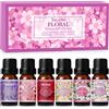 SALKING Oli Essenziali Floreale per Diffusori 6x10ml, Set di Olio Essenziale Pur