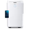 Pro Breeze OmniDry Deumidificatore Casa Muffa 20L/Giorno con Serbatoio da 4L e