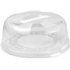 Snips Porta Torta con Coperchio Délice 4 Chiusure Piatto Porta Torte Crostata