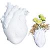 Detontek Vaso a Cuore Anatomico,Vaso Cuore,Vaso Decorativo a Cuore,Vaso Anatomico (I5X)