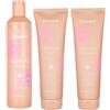ECHOSLINE Kit Discipline Shampoo 300ml + Mask 300ml + Conditioner 300ml