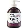 ALAMA PROFESSIONAL Maschera Colorante Viola ALAMA Professional S.O.S Color & Go 300ml