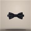 Louis Vuitton Bow Tie Black 157105224