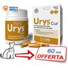 Innovet 2 CONFEZIONI Innovet URYS CUR 30 capsule CANI e GATTI - Protegge le Vie Urinarie
