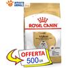 Royal Canin Dog → Adult, MALTESE - 500 gr / 1,5 kg - Crocchette Cane, Per Cani