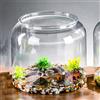 Torta Habitat Habitat Desktop Creative Clear Trendy Step Terrarium Micro