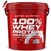 Scitec Nutrition 100% Whey Protein Professional 5 Kg Proteine Siero Latte 5000 g