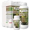 Bionee MISCELA NEEM PER PIANTE BIOLOGICO OLIO DI NEEM E SAPONE MOLLE 1 LITRO