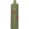 ECHOSLINE Shampoo capelli colorati ECHOSLINE Colour Care 1000ml