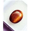 Naturale Occhio di Tigre Cabochon Loose Gemma 5.25 + KT Certificato Con Omaggio