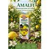 Bioki AMALFI concime energizzante x limone ad elevata efficacia, astuccio da 100 g