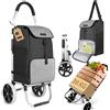 Safe Age Carrello Spesa con Ruote - Trolley Pieghevole da 45 Litri con Vano Frig
