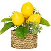 Albero di Limone Artificiale 15 cm in Vaso per piccolo Plastica per MINI Pianta