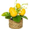 Albero di Limone Artificiale 15 cm in Vaso per piccolo Plastica per MINI Pianta