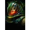 Alien Romulus - poster cm. 30 x 40