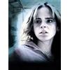 Emma Watson is Hermione Granger - poster cm. 30 x 40
