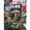NECA Grid Warrior Xenomorph Alien Figure Alien Vs Predator Action Figure Modello