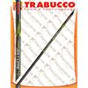 Trabucco S.R.L. Canna bolognese Trabucco ASTORE X MASTER mt. 8.00