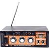 Amplificatore Professional Digital Karaoke A08 FM Mp3 Usb mmc RCA sd 12/220V Hsb