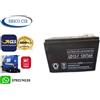 raggie Batteria 12v 7Ah per Sistemi di Allarme o Gruppo di continuita UPS BIGBAT