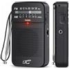LTC Lega Radio portatile AM/FM/AUX - Modello Lega, 2xAA
