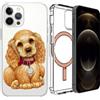 MIXROOM Custodia cover MagSafe per Apple iPhone 14 Plus Pro Max Magnetica Trasparente TA